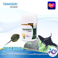 Transray ทรานสเรย์ ปรับสภาพน้ำสำหรับขนส่งปลากระเบน