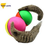 Electric  Ferret Rolling Ball for Dog and Cat Interaction, Pet  Toy, Agility Training Supplies