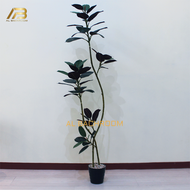1 PAKET TANAMAN KETAPANG ARTIFICIAL AESTHETIC POHON KARET KEBO BUATAN DAUN TROPIS BESAR FICUS ELASTI
