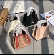✨✨Coach Hadley Hobo21 Shopping Basket