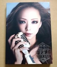 NAMIE AMURO 安室奈美惠 / FEEL TOUR 2013 覺 醒 巡迴演唱會 DVD