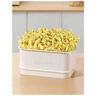 Bean sprout tray, Bean sprout growing box, Bean sprout incubation jar