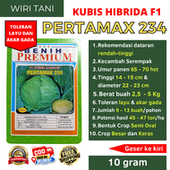 (COD) Benih Kubis Jumbo Pertamax 234 (Pertumbuhan Maksimal) Toleran Layu Akar Gada 10 gram | Setipe 