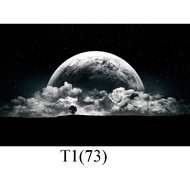 3d aquarium stickers, arowana fish pond, arhat fish, discus fish...