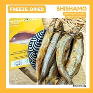 Munch Inc - Freeze Dried SHISHAMO FISH WHOLE (Seasonal) - Pet Dog Cat Snacks