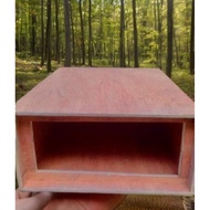 Amplifier D10 bok Ampeli festive