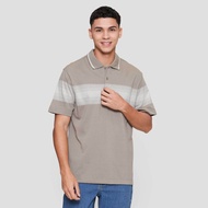 Cole Stripe Chest Kaos Polo Pria 122690992