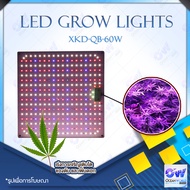 LED Grow Lights XKD-QB-60W ไฟปลูกต้นไม้ LED สเปกตรัมเต็มรูปแบบ ลูกปัดโคมไฟที่มีประสิทธิภาพสูง เหมาะสำหรับพืชหลากหลายชนิด หลากหลายพื้นที่ใช้งาน เหมาะสำหรับพื้นที่เพาะปลูกพืชในร่ม เช่น โรงเรือน ภายในอาคาร