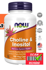 NOW Foods Choline &amp; Inositol 100 Veg Capsules