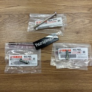 Skru Oil Filter Cover y16zr