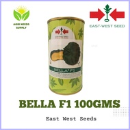 Kalabasa (Squash) Bella F1 East West seeds 100gms ✙✷ ☫