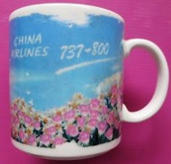 ~ 郵雅~中華航空波音737-800紀念杯