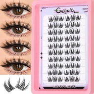 GROINNEYA Cluster Eyelashes Anime Cat Eye Lashes Velvety Natural Lashes Stunning Cluster Lashes Exte