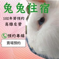 寵物住宿-兔子2023新春預約-高雄左營-電話預約報價