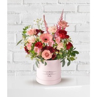 [Angelflorist.com] - Sweet Cappuccino Story