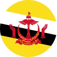 eSIM Mobile Internet Data Brunei DST 4G