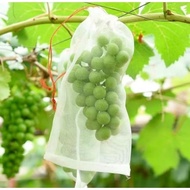 【Ready stokCOD】50/100PCS Fruit Cover/Pembungkus Buah/ Fruit Cover Anti Serangga/Buah Anggur/Strawber