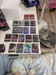 ONE PIECE 卡牌遊戲 盒裝