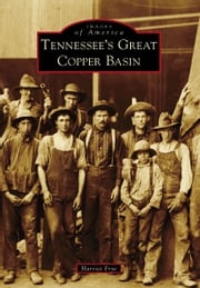 Tennessee’s Great Copper Basin Harriet Frye