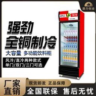 展示櫃冷藏保鮮櫃立式商用冰箱雙三門冷飲開門飲料櫃冷藏冰櫃