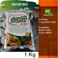 Sulfur Gold 1 Kg Fungisida Bahan Aktif Belerang