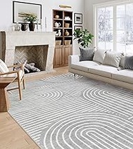 Lahome Abstract Area Rug 6x9, Soft Washable Rug for Living Room Ultra-Thin Non Slip Bedroom Rug, Mod