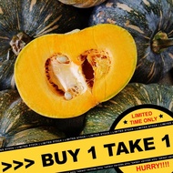 Squash+rKabocha`B$Seeds - Japanese Squash Seeds - Squash Seeds - Heirloom Squash Seeds -=d=Rare.dV@