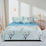 Bộ 5 món drap áo gối kèm mền Stefani - ST200051 - Bộ chăn ga gối cotton 1m6x2m 1m8x2m