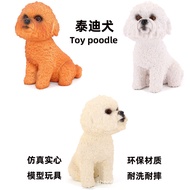 Solid Puppy Model Teddy Dog Poodle Poodle Poodle Poodle Poodle Poodle Poodle Poodle Poodle Artificia