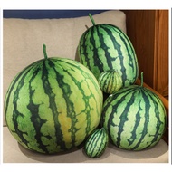 ️ [7 Styles] Simulation Watermelon Doll Big Fruit Pillow Christmas Gift Exchange Birthday Home Daily