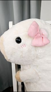 【日本直送✈️】🈹️40cm 快樂水豚公仔/しあ
わせハピノラちゃん/HappyHappyBara/JB
ぬいぐるみぐりちゃん/水豚公仔/大隻水豚公仔/水豚君攬枕/AMUFUN幸福水豚君玩偶