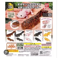 Bandai gachapon capsule Mexican Salamander Axolotl