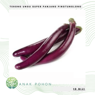 (10 Biji) Benih Bibit Biji - Terong Ungu Pingtung Long F1 Hibrida Seeds - Panen dalam 80 Hari - Tipe