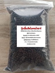 ปุ๋ยเชื้อเห็ดไมคอร์ไรซาหรือปุ๋ยอินทรีย์อัดเม็ดผสมเชื้อเห็ดรวม บรรจุ 1 กก. (ประกอบด้วยเชื้อเห็ดผึ้ง ระโงก เผาะ ไคล ก่อ แดง)