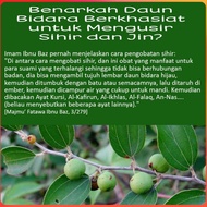 Daun Bidara Berduri Fresh Petik Dari Pokok Terapi Ruqyah