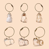 Transparent Cat Hair Storage Bottle Pet Fur Keepsake Keychain