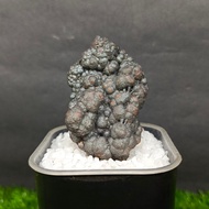 Beads Leklai 珠粒力泥 Leklai Goethite 100% Natural Leklai