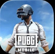 Pubg代打