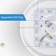 PHILIPS LED Ceiling Light CL200 Series Round, Cool White light/Cool Daylight, 4.5W/6W/10W/17W/20W Tree MandarinTree.com.sg Oyster Light Category