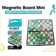 Mini magnetic snake and ladder