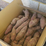 竹山地瓜