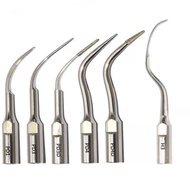 PD1 PD3 PD3D PD4 PD4D PD5 PD6 H3 Dental Ultrasonic Scaler Tip Perio For SATELEC DTE
