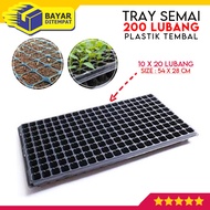 Tray Semai 200 Lubang Bibit Benih Hidroponik Tebal Traypot Trai Pot Cabe Cabai Rawit Bunga Anggrek