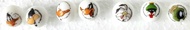 Looney Tunes Character Marble Daffy Duck , E. Coyote,Marvin the Martian .香港懷舊玩具,童年回憶: 一套可收藏的彈珠， 內含達菲