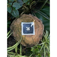 Skull ashtray handmade aesthetic clay skull bone ashtray/