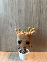 Funko Pop 樹人Groot盆栽公仔🪴