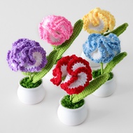 Mini Cute Style DIY Handwoven Simulation Carnation Pot Flower Planting Thread Crochet Knitted Finished Home Garden Decorative Ornament