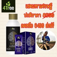 4Tree โฟร์ทรี 10 ซอง + Amino Black อะมิโนแบล็ค 1 ลิตร เร่งราก เพิ่มน้ำหนัก %แป้ง (เซตมหาเศรษฐี) ของแ