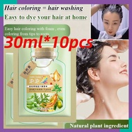 ⚡24H SHIPPING⚡ 10pcs Hair Colour Shampoo Bubble Cover Grey Hair Dye Shampoo Organic Hair Color Dye Shampoo Hair Colour Dye For Women Hair Salon