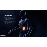 Elements | VIDEOHIVE STOMACH ELEMENTS